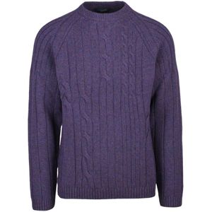 Daniele Fiesoli, Heren, Truien, Paars, Maat: S Wol,