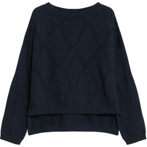 Max Mara, Dames, Truien, Blauw, Maat: S