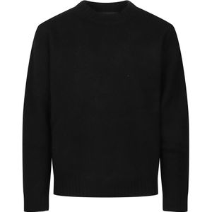 Axel Arigato, Heren, Truien, Zwart, Maat: L Wol,