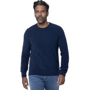 Gran Sasso, Heren, Truien, Blauw, Maat: 2XL Wol,