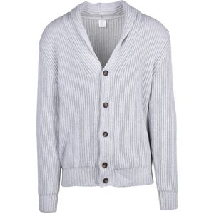 Eleventy, Heren, Truien, Grijs, Maat: XL Wol,