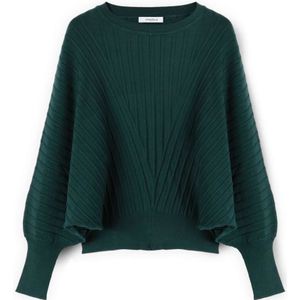 Motivi, Dames, Truien, Groen, Maat: XS Nylon,