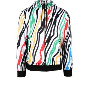 Bikkembergs, Heren, Sweatshirts & Hoodies, Veelkleurig, Maat: S Poliester,