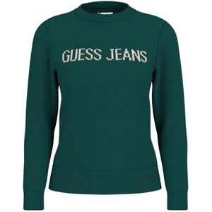 Guess, Dames, Truien, Groen, Maat: XS