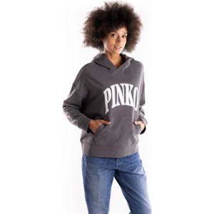 Pinko, Dames, Sweatshirts & Hoodies, Grijs, Maat: M Katoen,