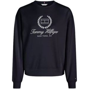 Tommy Hilfiger, Heren, Sweatshirts & Hoodies, Blauw, Maat: XL Katoen,