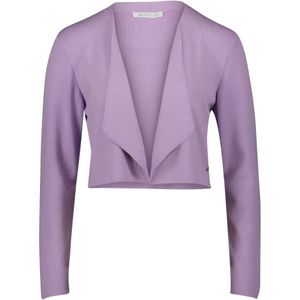 Betty & Co, Dames, Truien, Paars, Maat: 2XL Leer,
