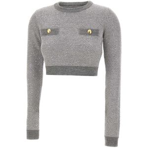 Elisabetta Franchi, Dames, Truien, Grijs, Maat: S Wol,