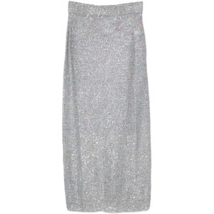 Alysi, Dames, Rokken, Grijs, Maat: XS Zijde,