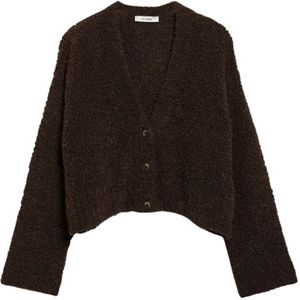 IVY Oak, Dames, Truien, Bruin, Maat: XS Wol,