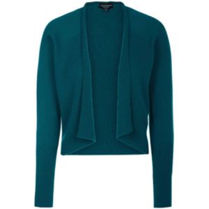 Emporio Armani, Dames, Truien, Blauw, Maat: 34 EU Kasjmier,