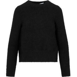 Bottega Veneta, Dames, Truien, Zwart, Maat: S Viscose,