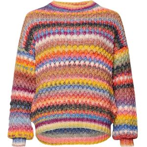 Noella, Dames, Truien, Veelkleurig, Maat: L/Xl