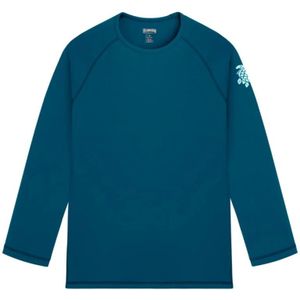 Vilebrequin, Heren, Tops, Blauw, Maat: XS Jersey,