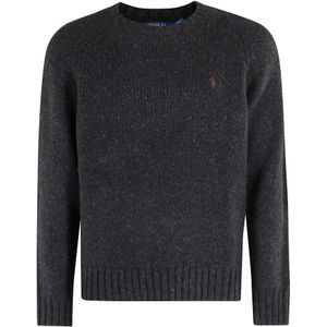 Polo Ralph Lauren, Heren, Truien, Bruin, Maat: M