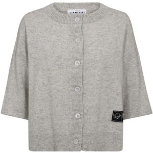 Haute L'Amitié, Dames, Truien, Grijs, Maat: XS Kasjmier,