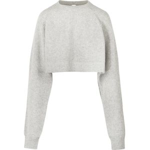 Liviana Conti, Dames, Truien, Grijs, Maat: M Kasjmier,