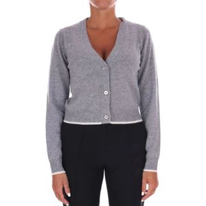 Pinko, Dames, Truien, Grijs, Maat: M Wol,