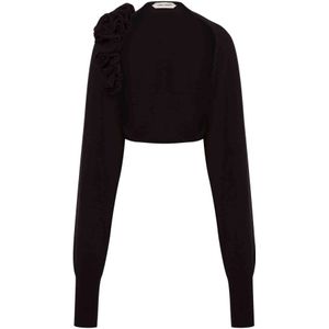 Alberta Ferretti, Dames, Truien, Zwart, Maat: XS Zijde,