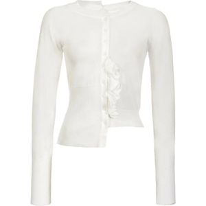 Pinko, Dames, Truien, Wit, Maat: L