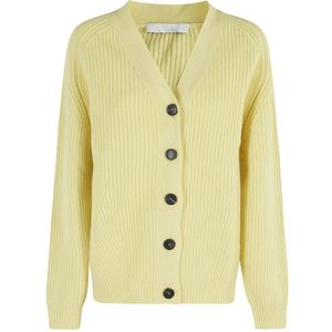 Tela, Dames, Truien, Groen, Maat: XS