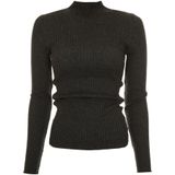 ARMEDANGELS - Alaania - Vrouwentrui - Hoge Kraag - Effen