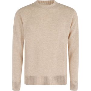 Fortela, Heren, Truien, Beige, Maat: XL Wol,