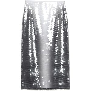 Sportmax, Dames, Rokken, Grijs, Maat: L