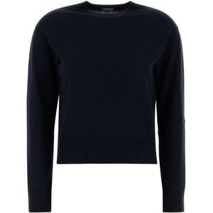 Max Mara, Dames, Truien, Blauw, Maat: S Wol,