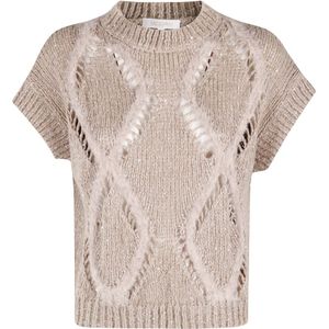 Antonelli Firenze, Dames, Truien, Beige, Maat: S