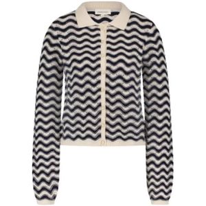 Fabienne Chapot, Dames, Truien, Veelkleurig, Maat: S Katoen,