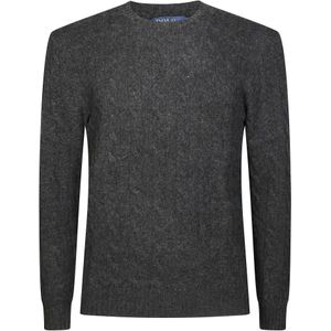 Polo Ralph Lauren, Heren, Truien, Zwart, Maat: S