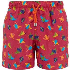 Gallo, Heren, Badkleding, Veelkleurig, Maat: L