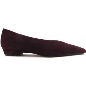 Roberto Festa, Dames, Schoenen, Paars, Maat: 36 EU Leer,