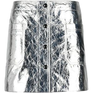 Dior, Dames, Rokken, Grijs, Maat: M Leer,