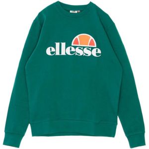 Ellesse, Heren, Sweatshirts & Hoodies, Groen, Maat: M