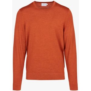 Calvin Klein, Heren, Truien, Oranje, Maat: XS