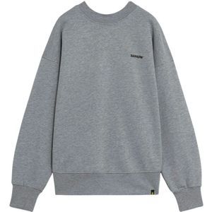 Barrow, Heren, Sweatshirts & Hoodies, Grijs, Maat: L Katoen,