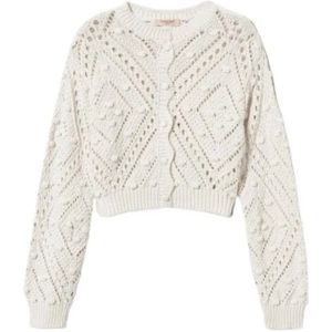 Twinset, Dames, Truien, Beige, Maat: XS Katoen,