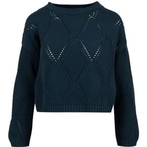 Weekend Max Mara, Dames, Truien, Blauw, Maat: M Katoen,