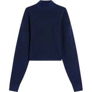 Sportmax, Dames, Truien, Blauw, Maat: M Wol,