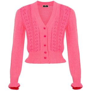 Elisabetta Franchi, Dames, Truien, Roze, Maat: XL Wol,