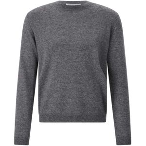 Iris Von Arnim, Heren, Truien, Grijs, Maat: M Zijde,