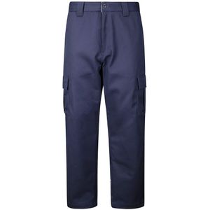 Carhartt Wip, Heren, Broeken, Blauw, Maat: W33 Katoen,