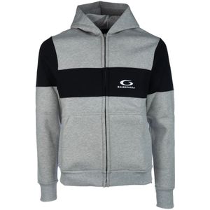 Balenciaga, Heren, Sweatshirts & Hoodies, Grijs, Maat: L Katoen,