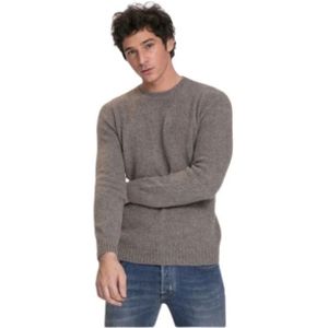 Gran Sasso, Heren, Truien, Beige, Maat: 2XL Wol,
