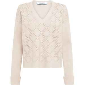 Blugirl, Dames, Truien, Beige, Maat: S