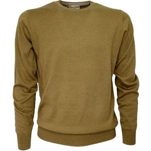 Cashmere Company, Heren, Truien, Groen, Maat: 4XL Zijde,