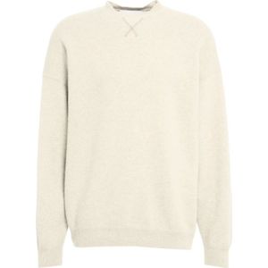 Amaránto, Heren, Truien, Beige, Maat: L Wol,