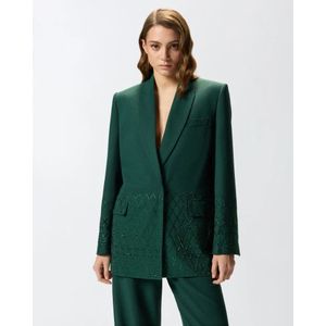 Pinko, Dames, Jassen, Groen, Maat: XS Viscose,